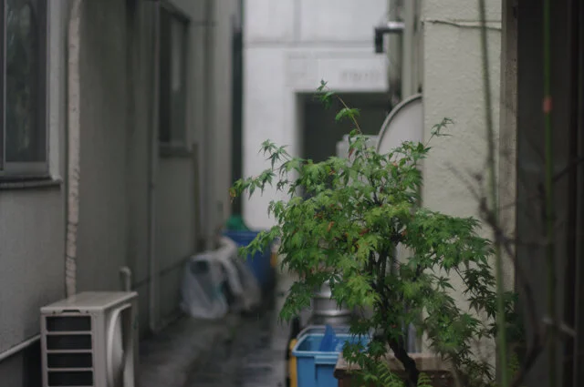 Rainy day in Tokyo