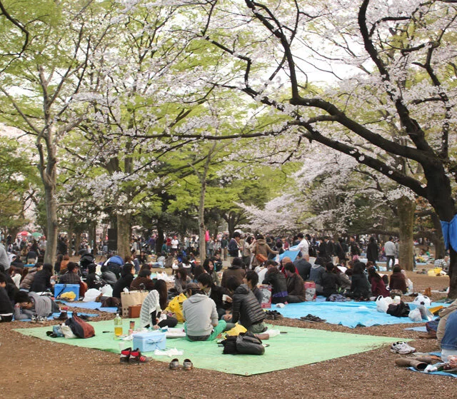 Hello Hanami, Goodbye Hanami