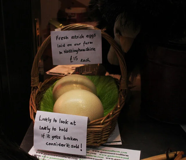 Ostrich omelette, anyone?