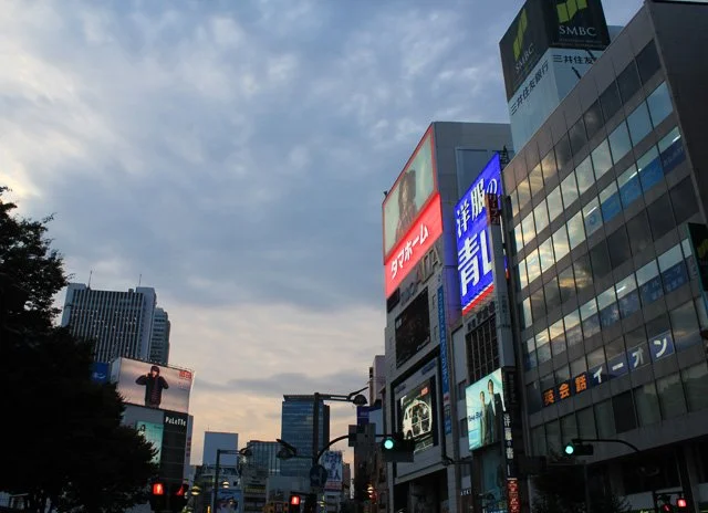 Shinjuku Dusk