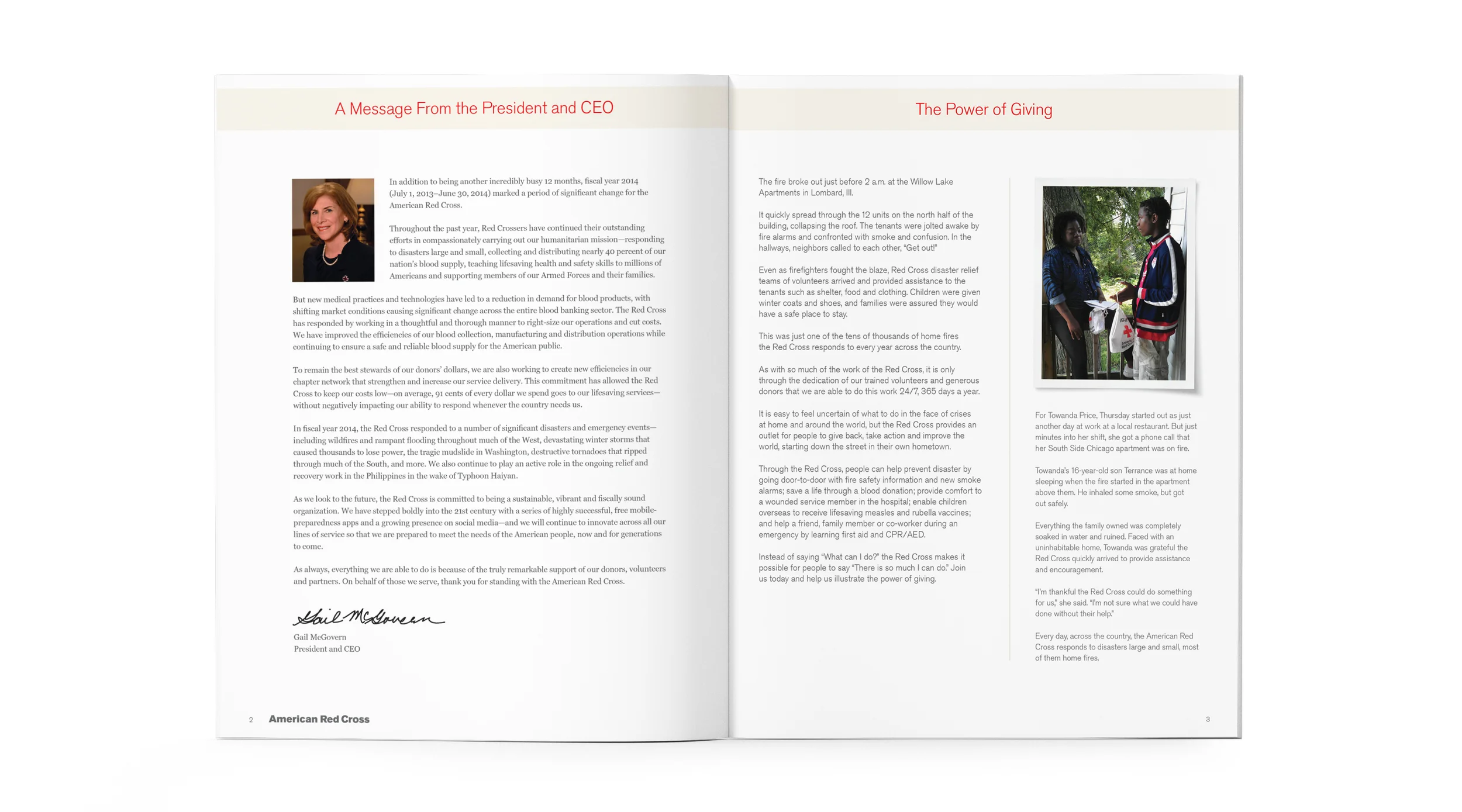 RED CROSS ANNUAL REPORT SPREAD 2.jpg