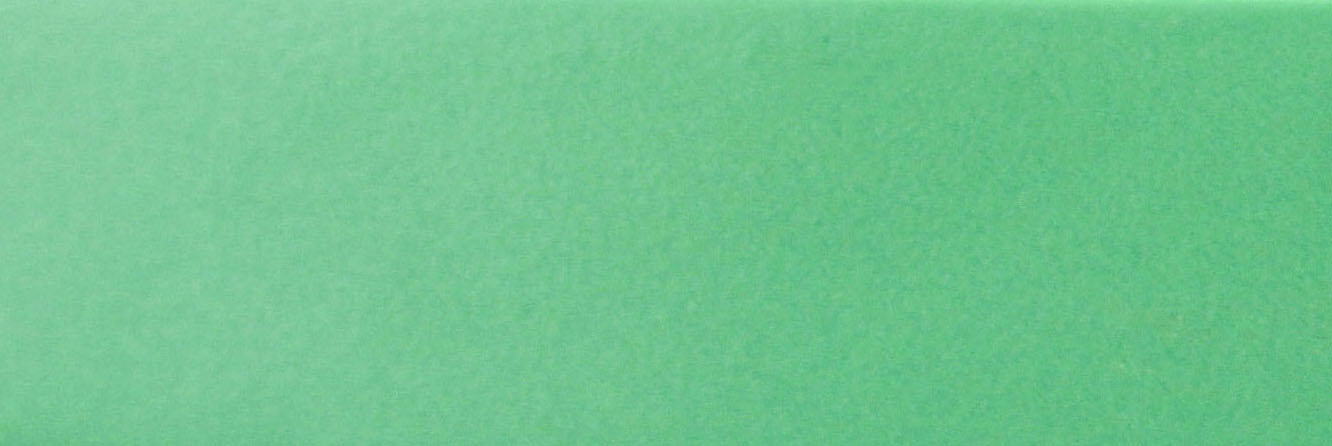 16029 - GREEN 22 x 2 mm 
