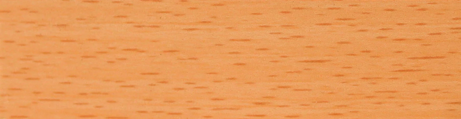211639 - BEECH 22 x 2 mm 