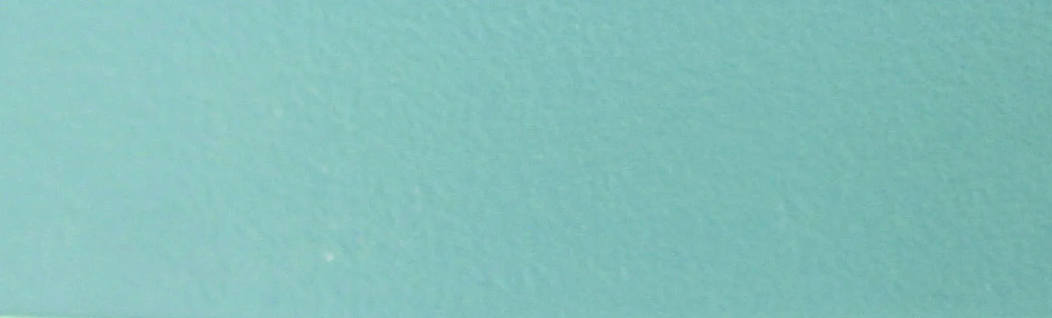 16443 - TURQUOISE* 