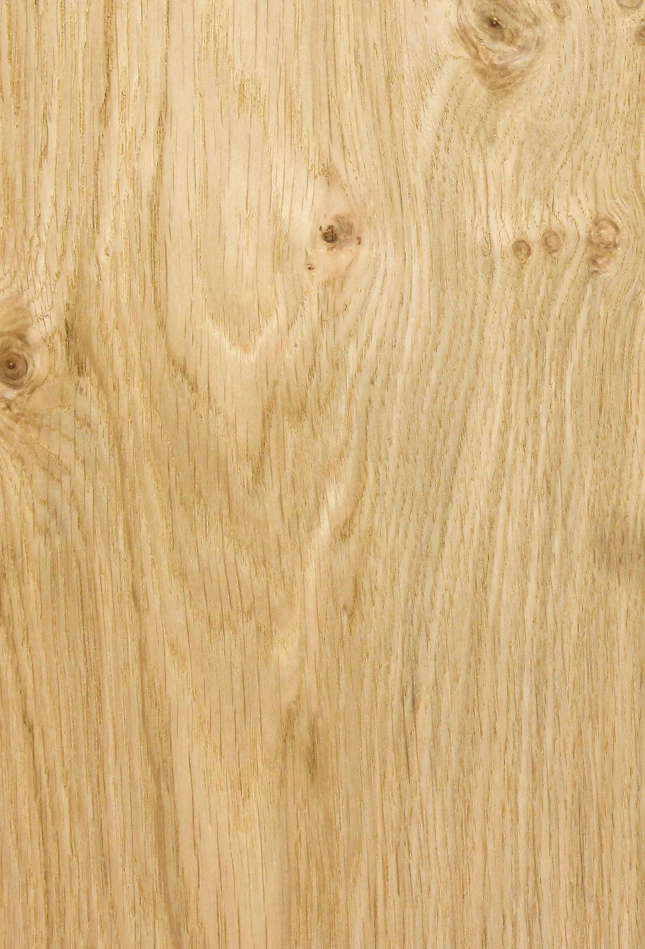 character oak