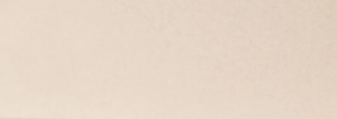 111 - Cashmere 22 x 1 mm 