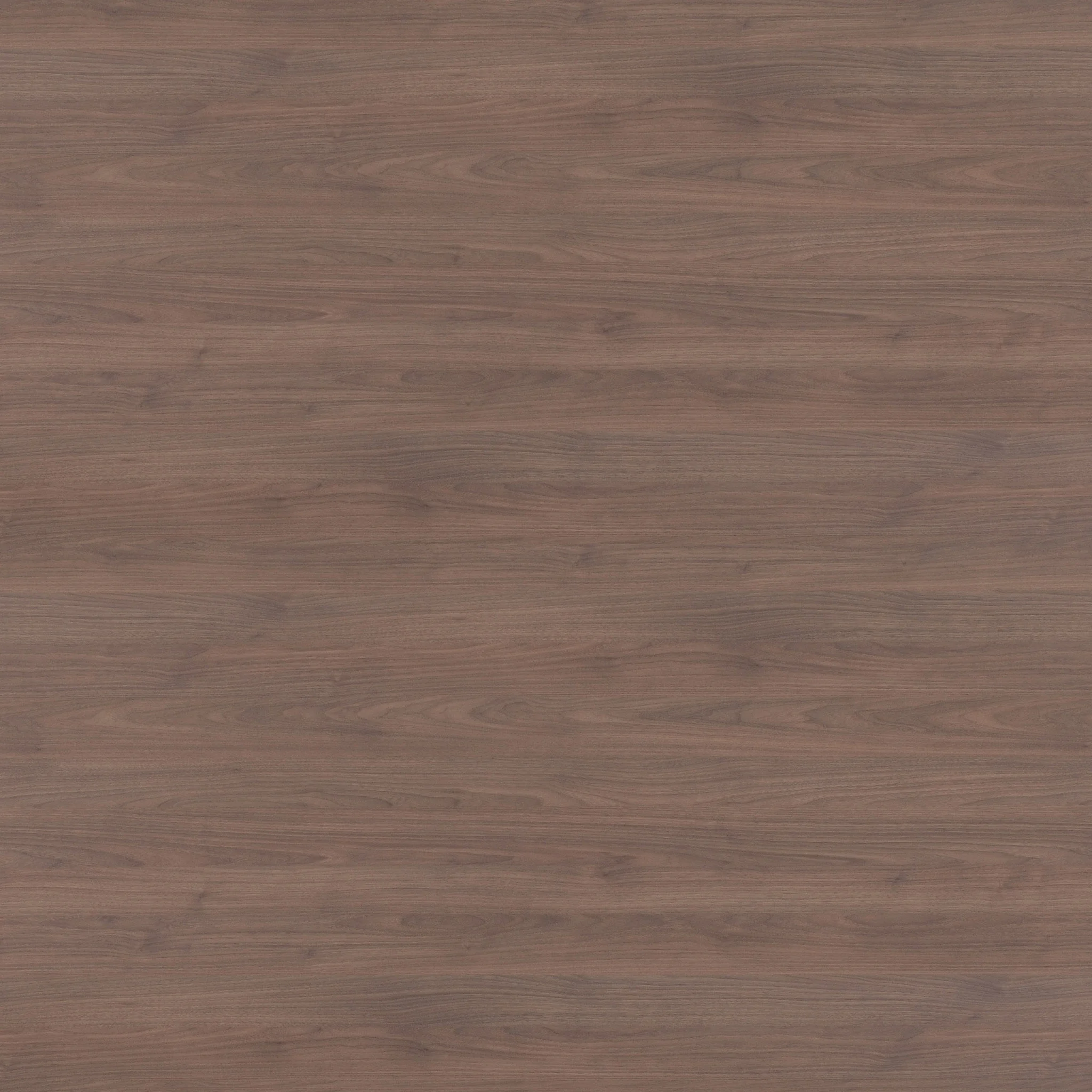 Albany Walnut - 22 x 2 mm, 42 x 2 mm