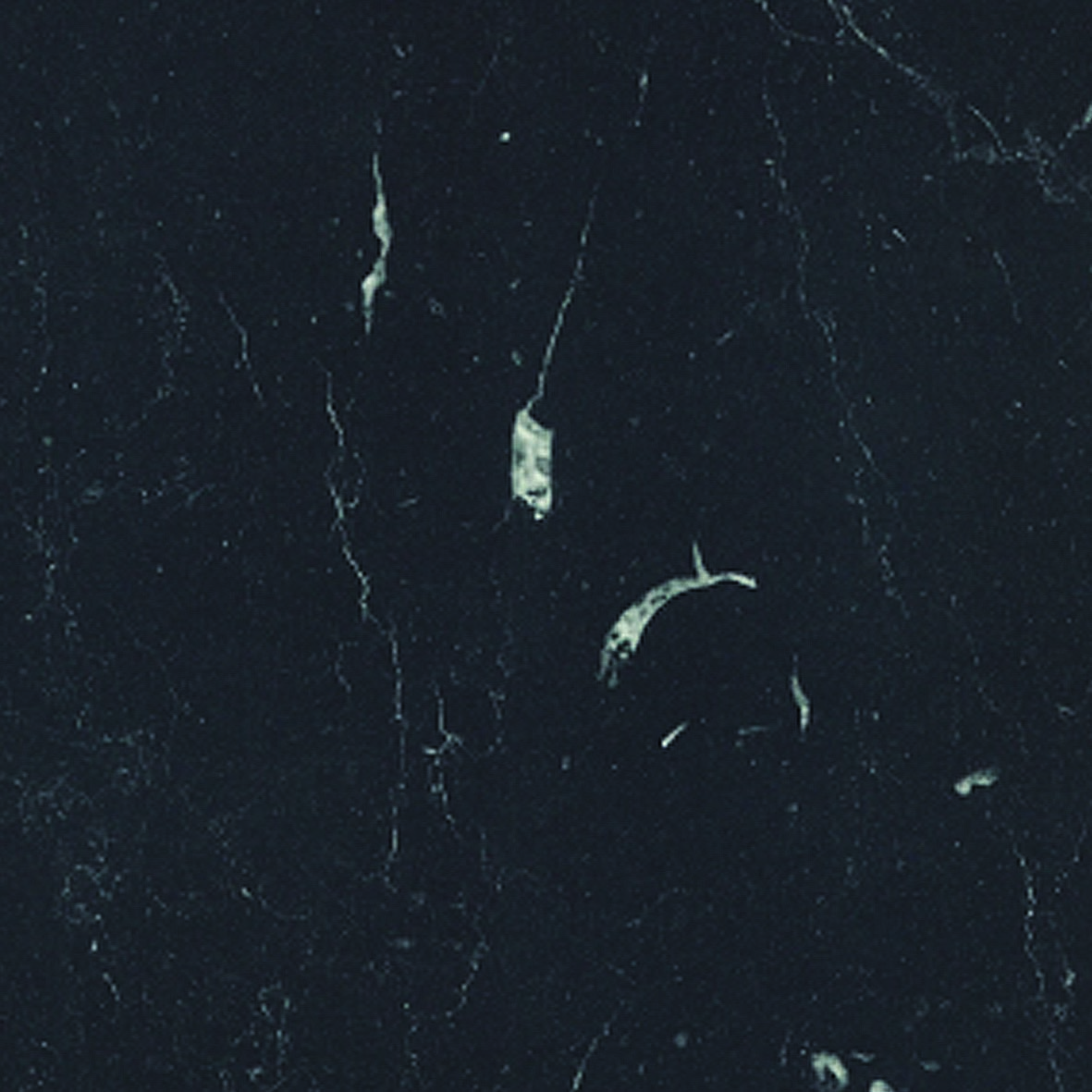 Roma Marble 6499