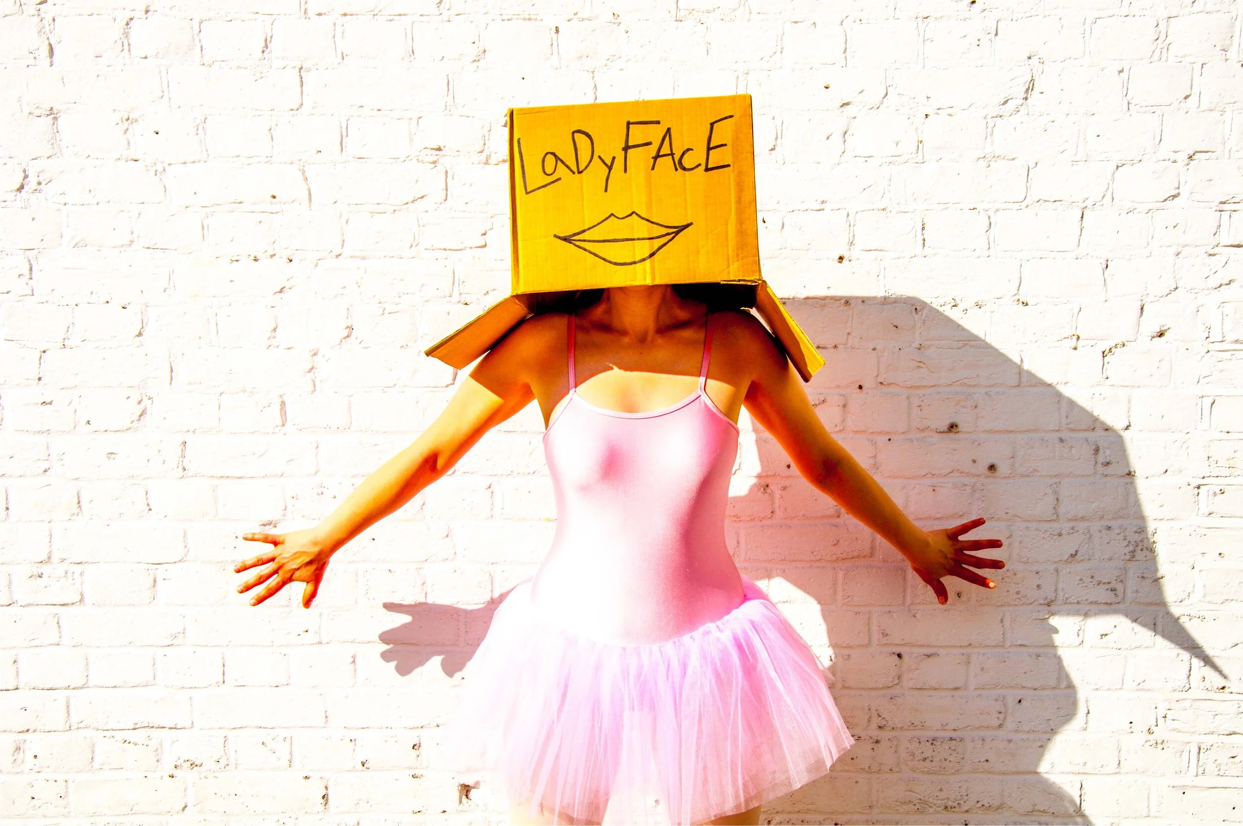 LadyFace Main Image Smaller File.jpg