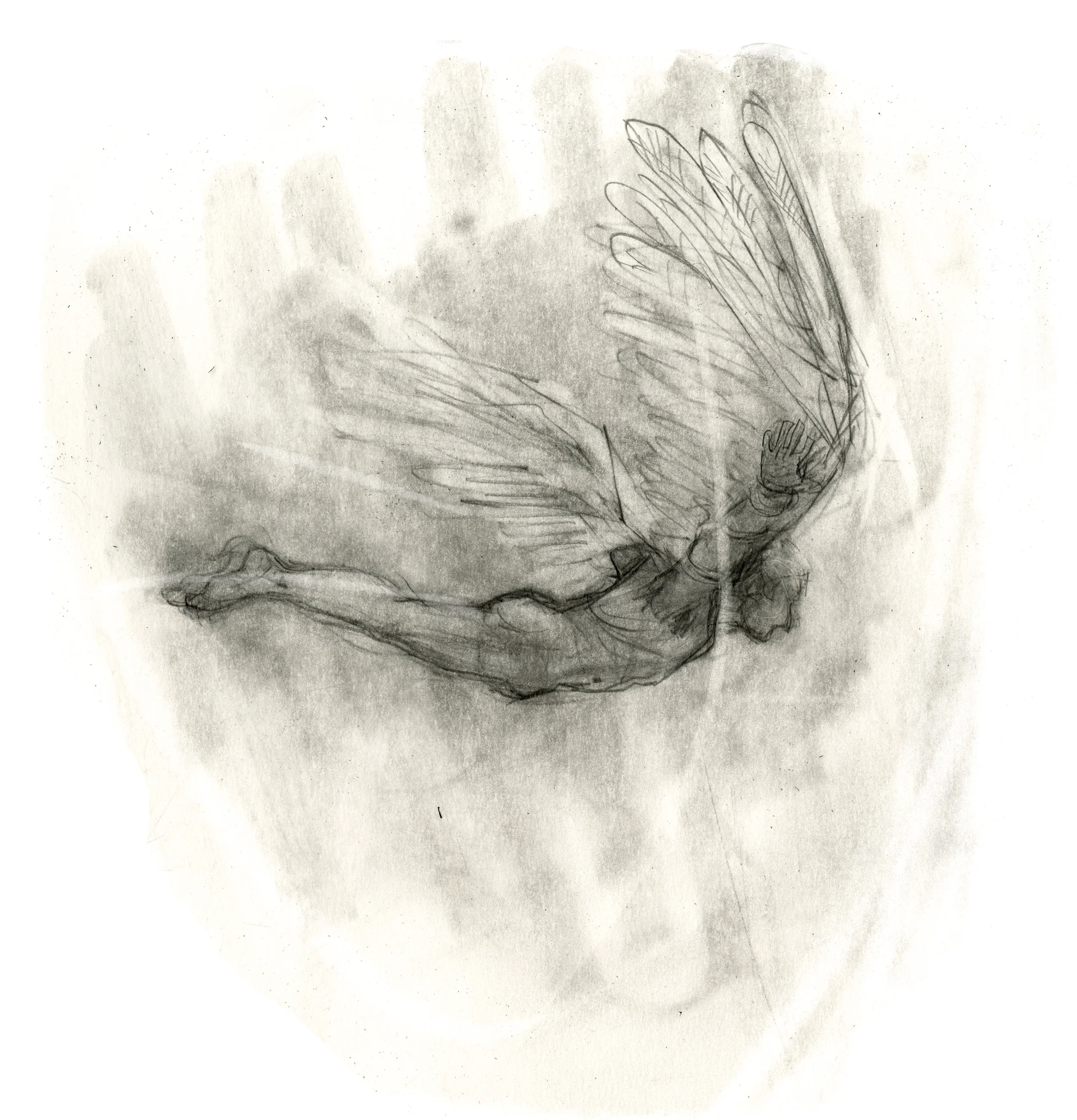        Cover-Illustration zu "Krisendämmerung – Ikarus flieg weiter"                         von Ilma Bachmann, 2016, 