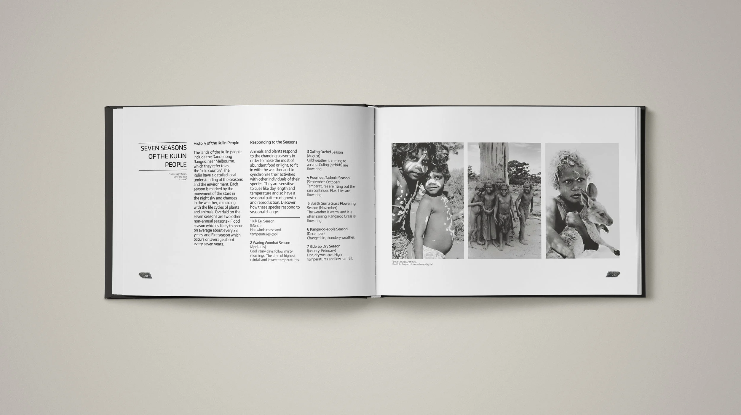 Charcoal Lane Book - 6 Seasons