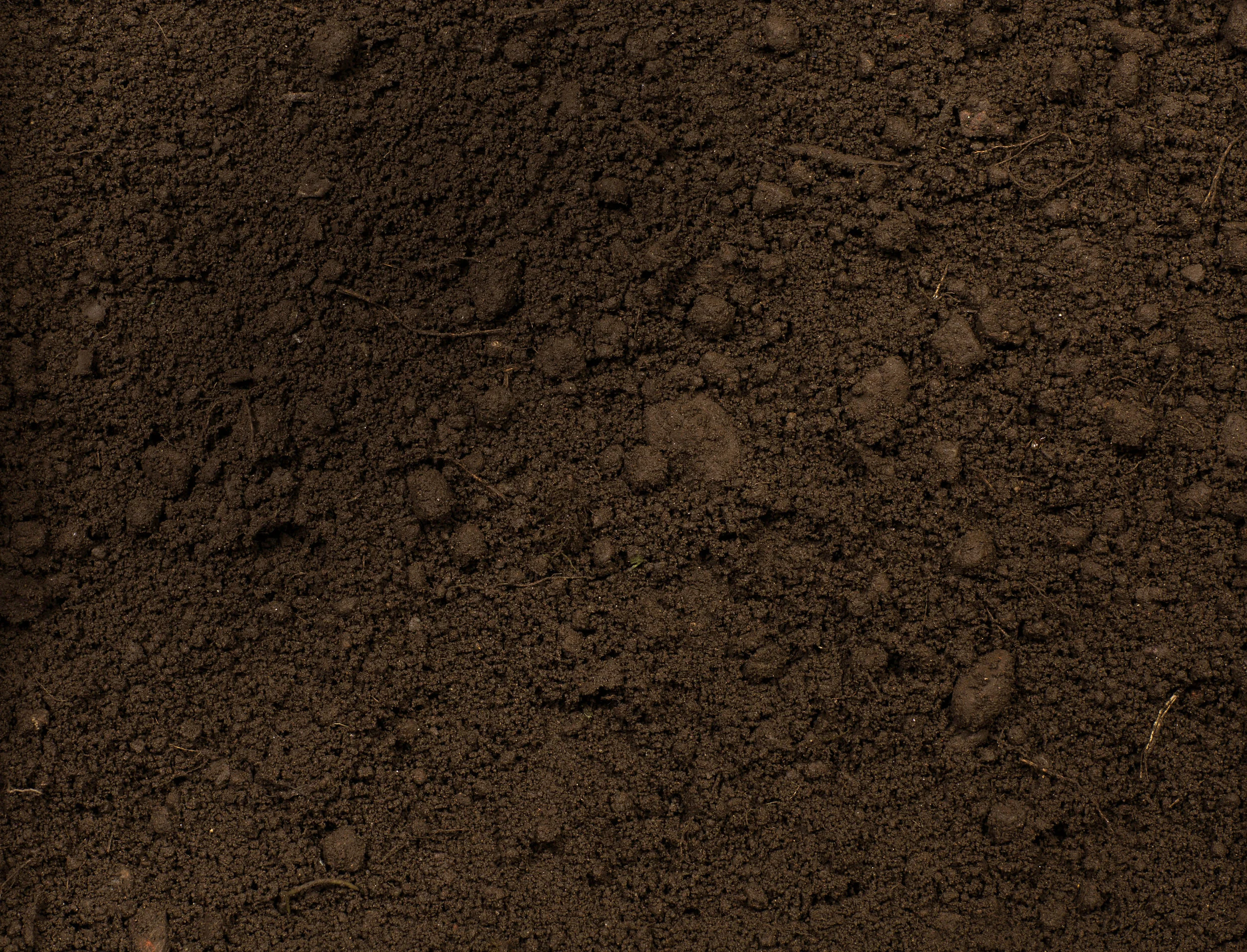 K74A0219 copy 2.jpg