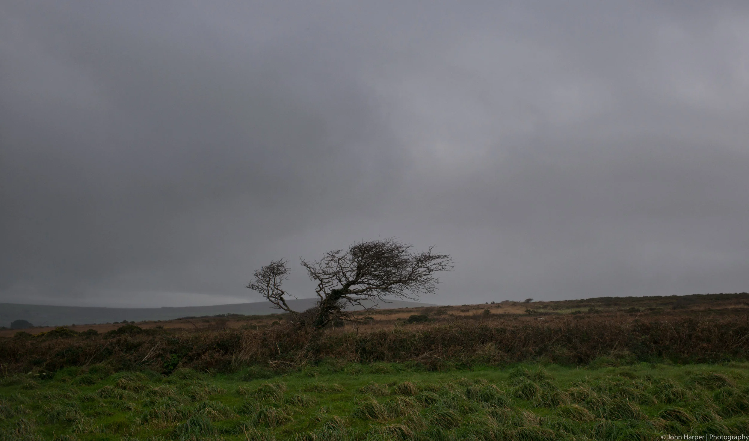 L1004876.jpg