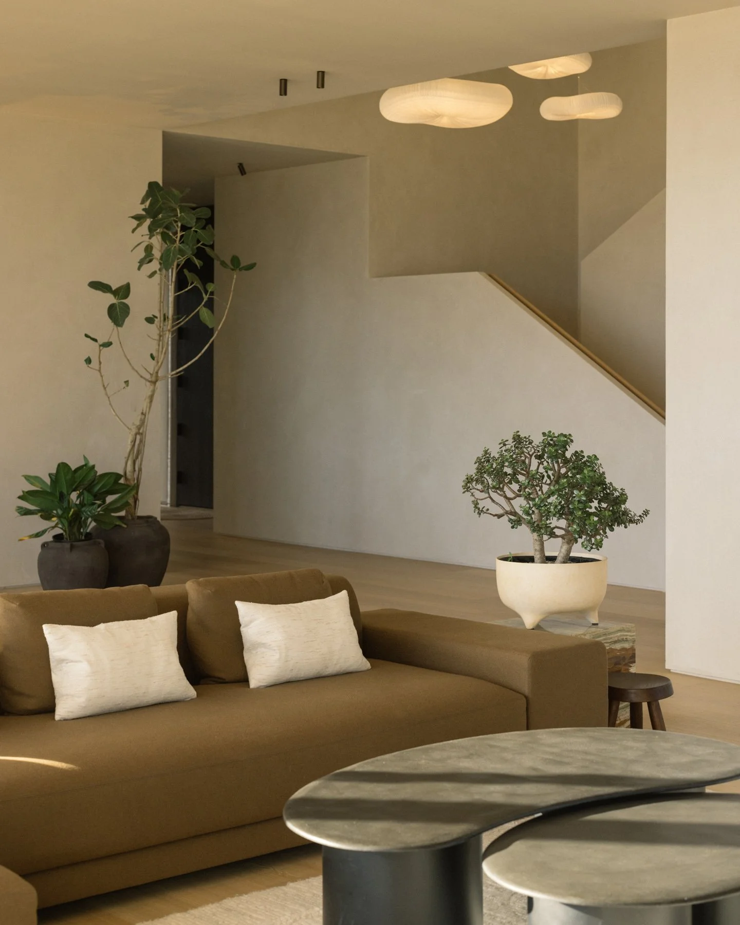 Web Carbondale Montagard-5.jpg