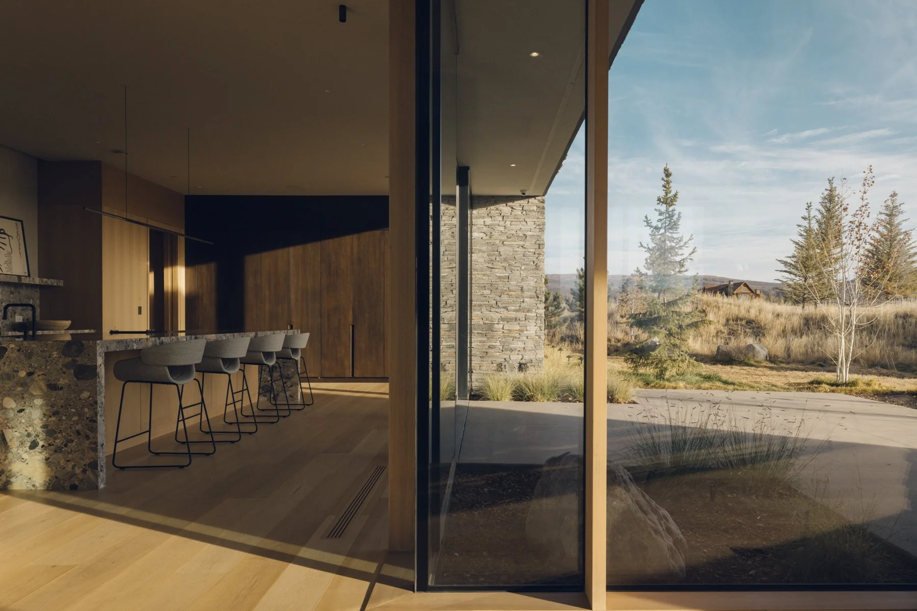 Web Carbondale Montagard-36.jpg