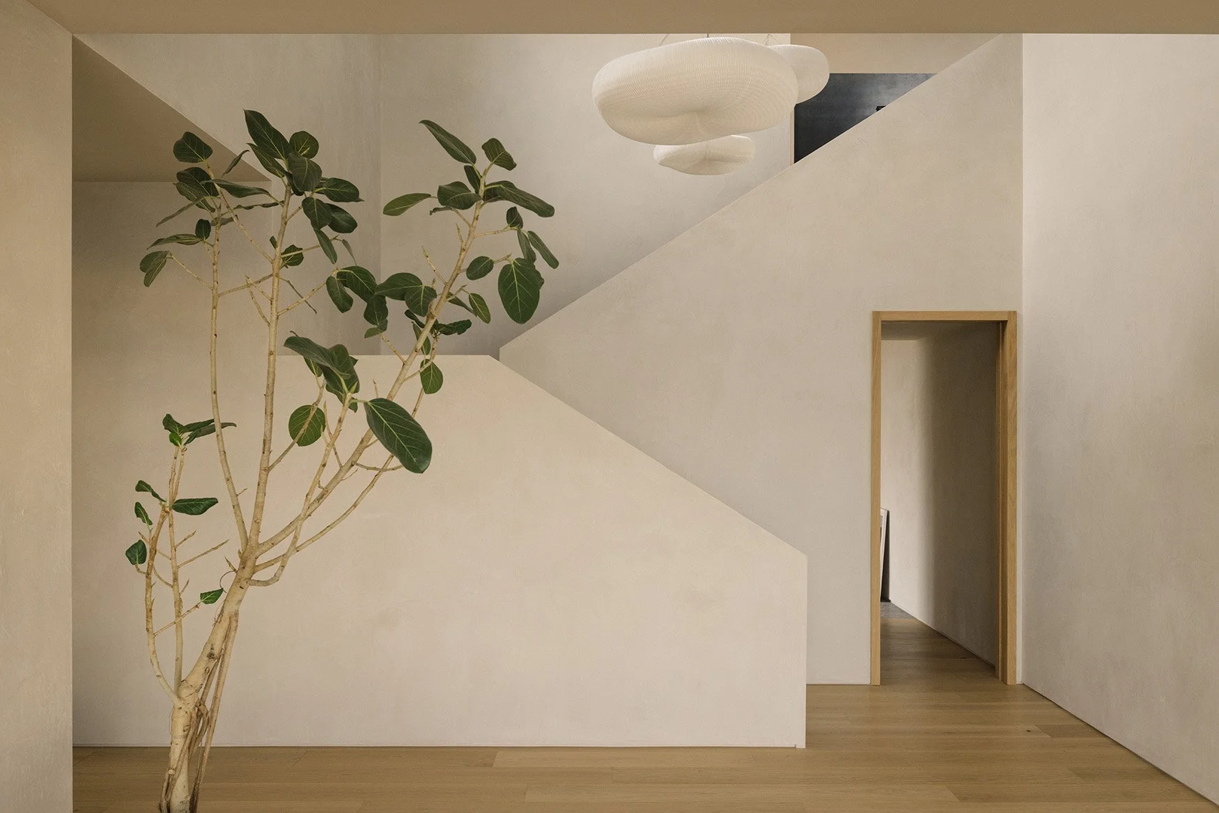 webSopris Residence D2 Morning-24.jpg