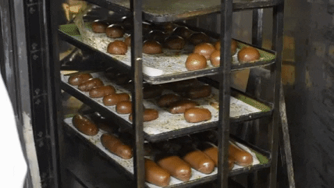 Animated GIF-downsized_large (6).gif