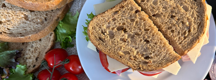 (Website Header Image).png