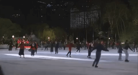 giphyskating.gif