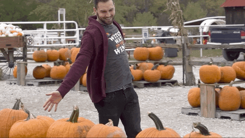 giphypumpkin.gif