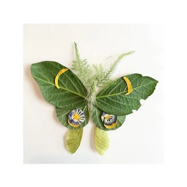 Just when the 🐛 thought the world was over, it became a butterfly! 
Such inspirational and hopeful floral artwork by @flora.forager 💛

#staypositive #silverlining #hopeful
.
.
.
.
.
#butterfly #floraforager #floralart #inspired #spreadlovenothate #