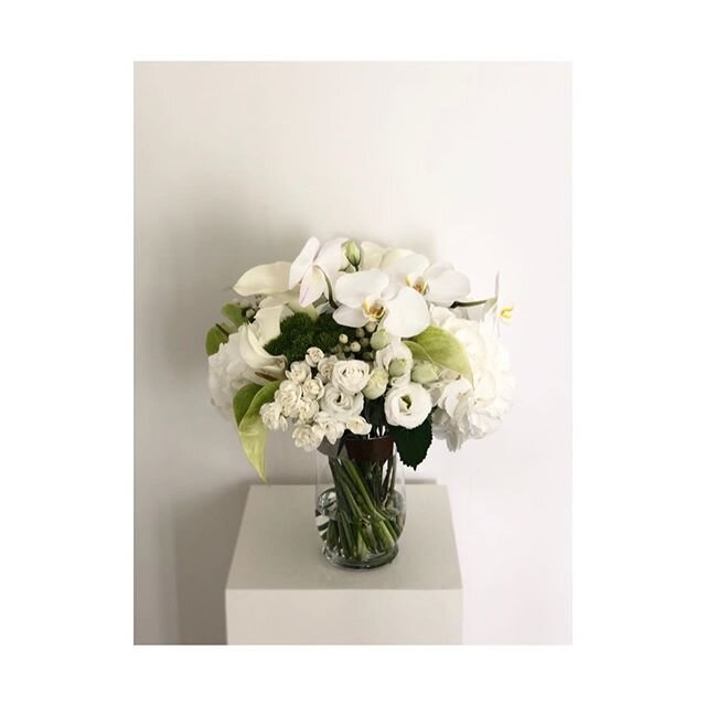 This #allwhiteeverything bouquet to keep you cool when it gets too hot outside 🤍
.
.
.
.
.
#white #whitedecor #🤍#whitehome #whitebouquet #whitearrangement #chic #zen #whiteorchid #hkflorist #minimalstyle #minimalmood #flowersofinstagram #floristry 