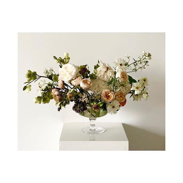 Quite a few flowers are in the final stages of their life here but... in the right light at the right time, everything is extraordinary✨ .
.
.
.
.
#fridaymood #moodyflorals #moodygrams #fridayvibes #happyfriday #friyay #moody #prolongingthemagic #pos