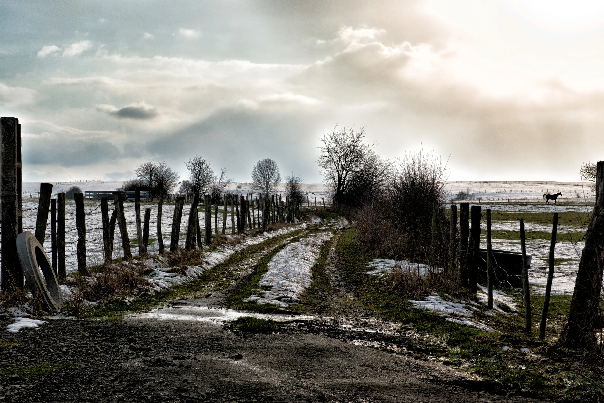 DSC_1000-Modifier-Modifier.jpg