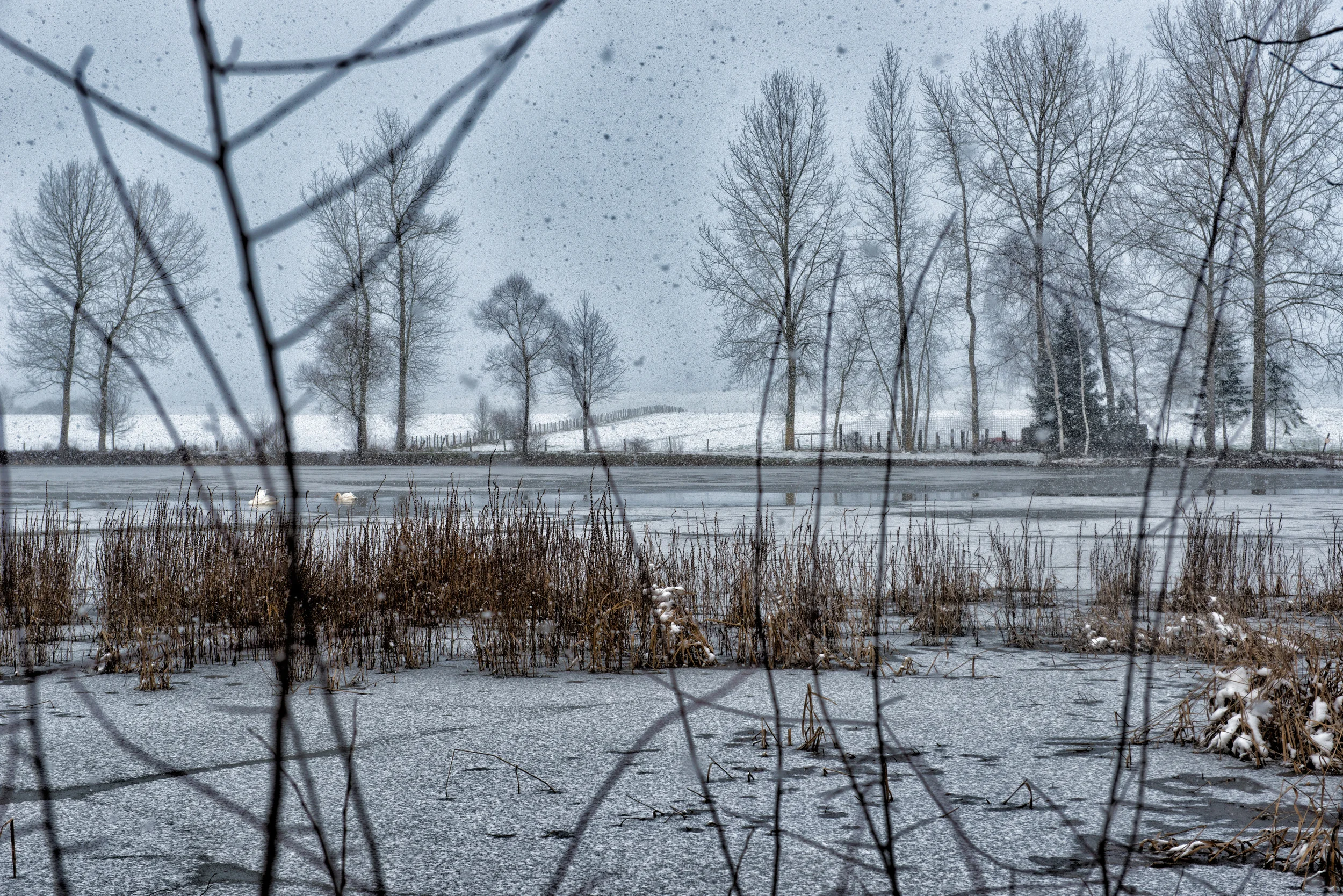 DSC_1094-Modifier-Modifier.jpg