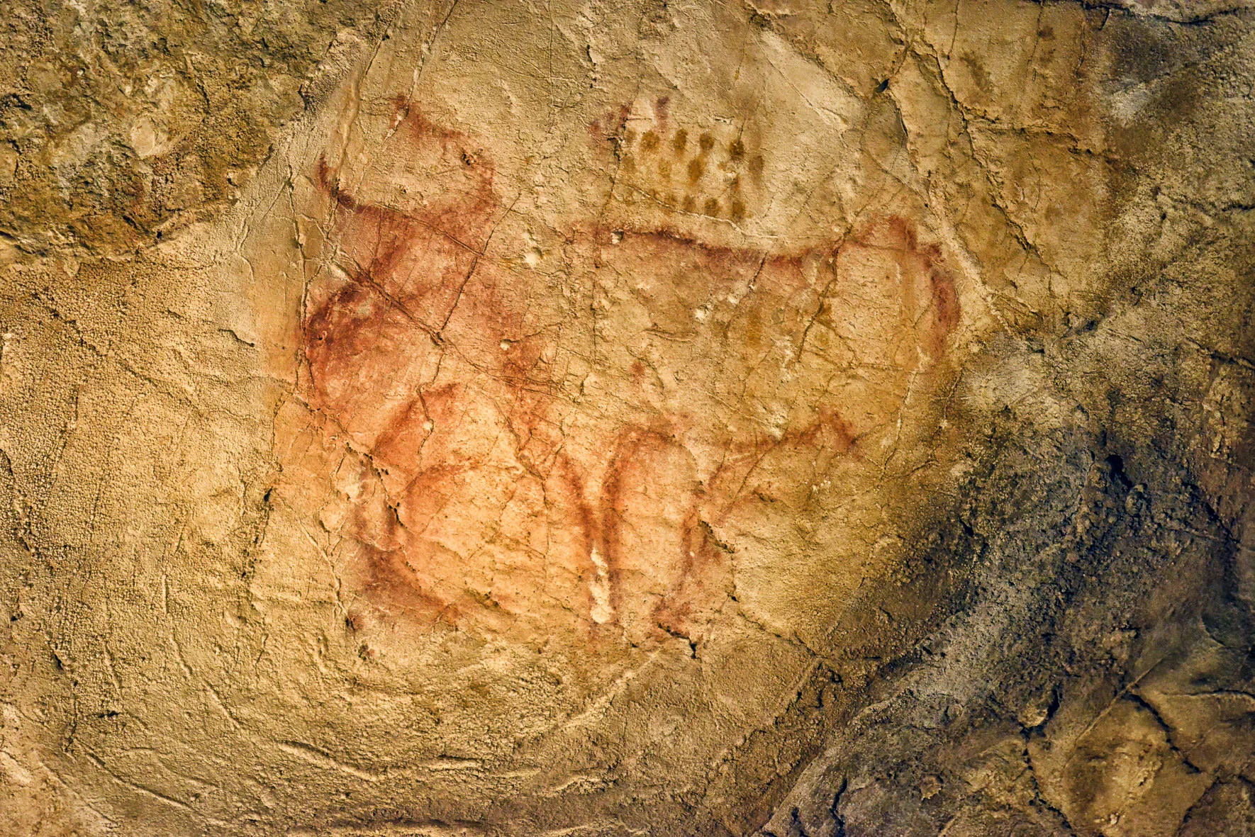 Tête du Lion taille reduite_7782.jpg