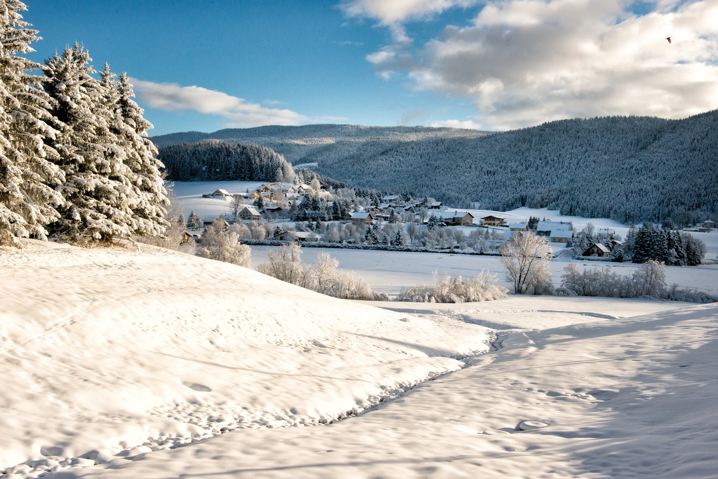 Paysage Vercors-9720-Modifier.jpg