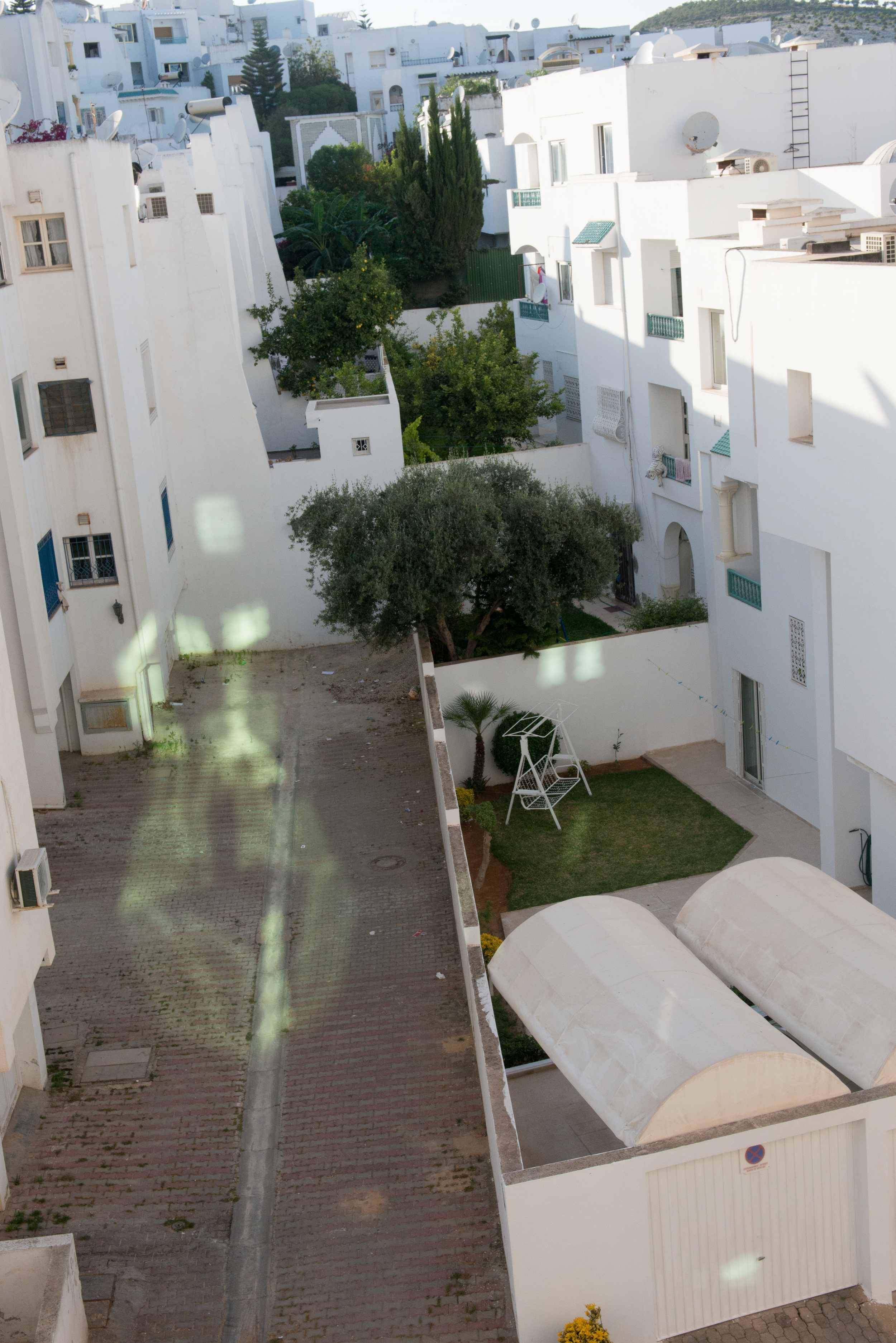 DSC_6611.jpg