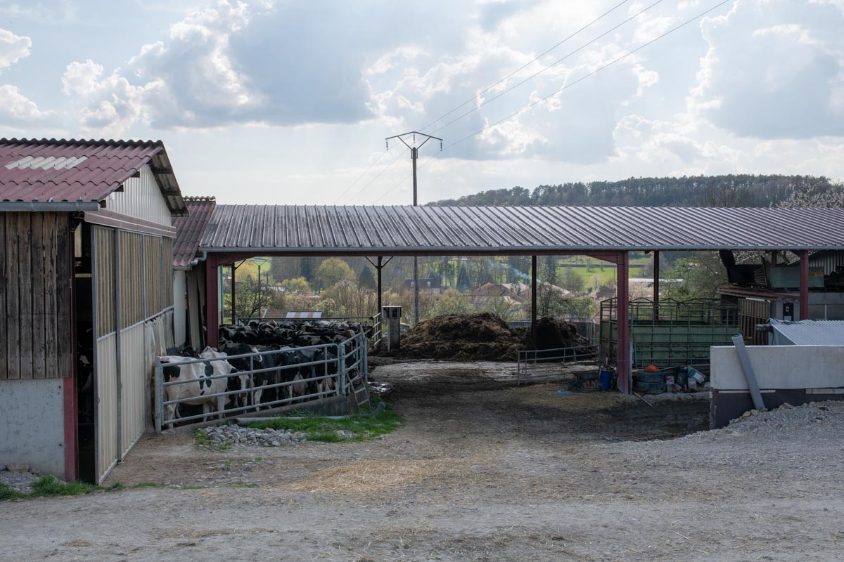 14-Landaville le haut-3029.jpg