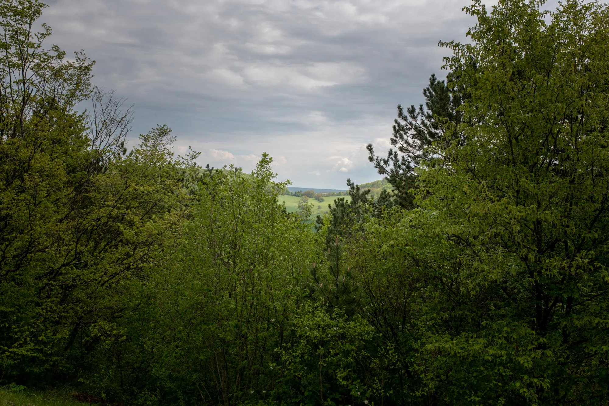 Maxey-sur-Meuse-3222.jpg