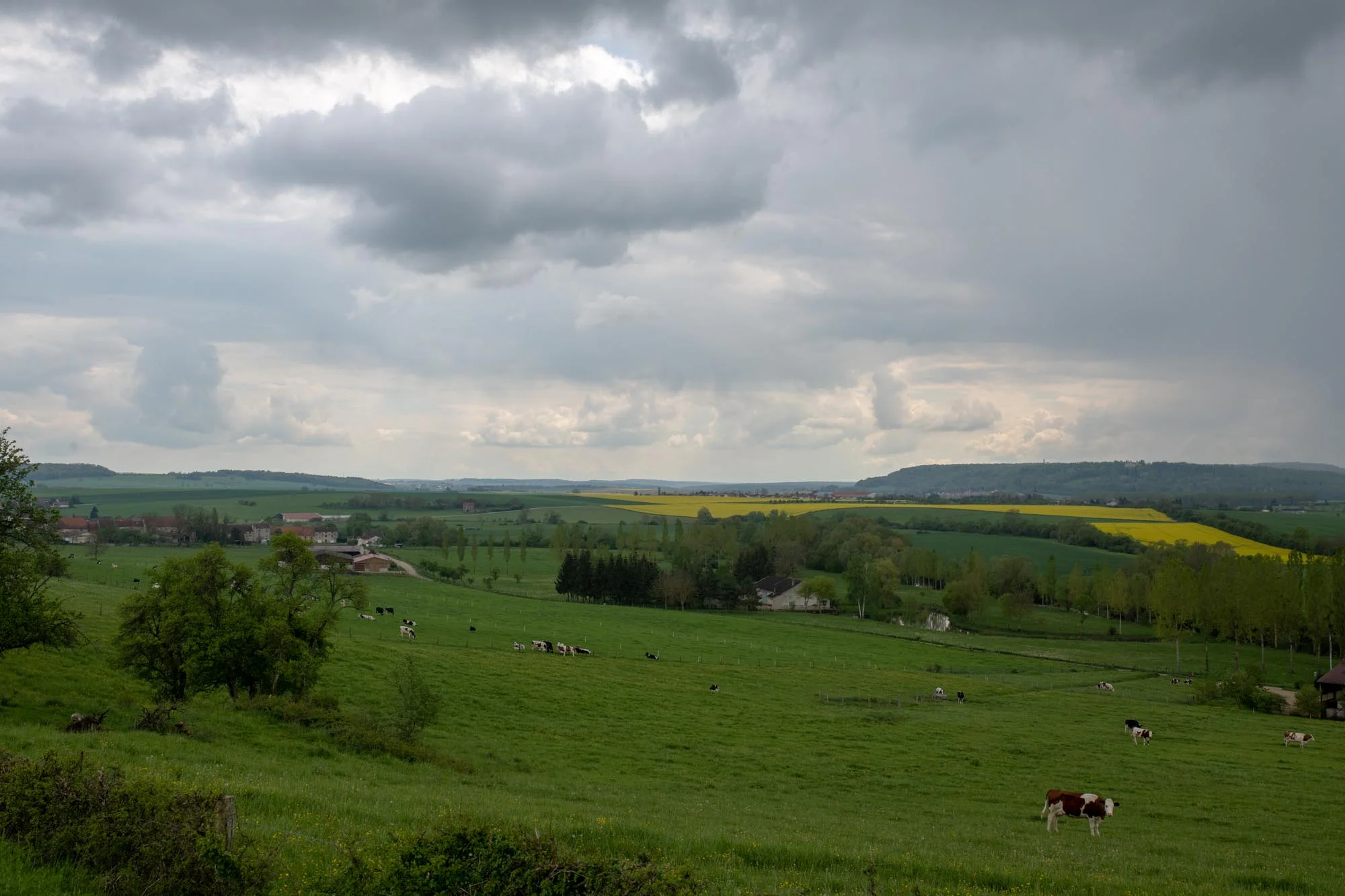 Maxey-sur-Meuse-3259.jpg