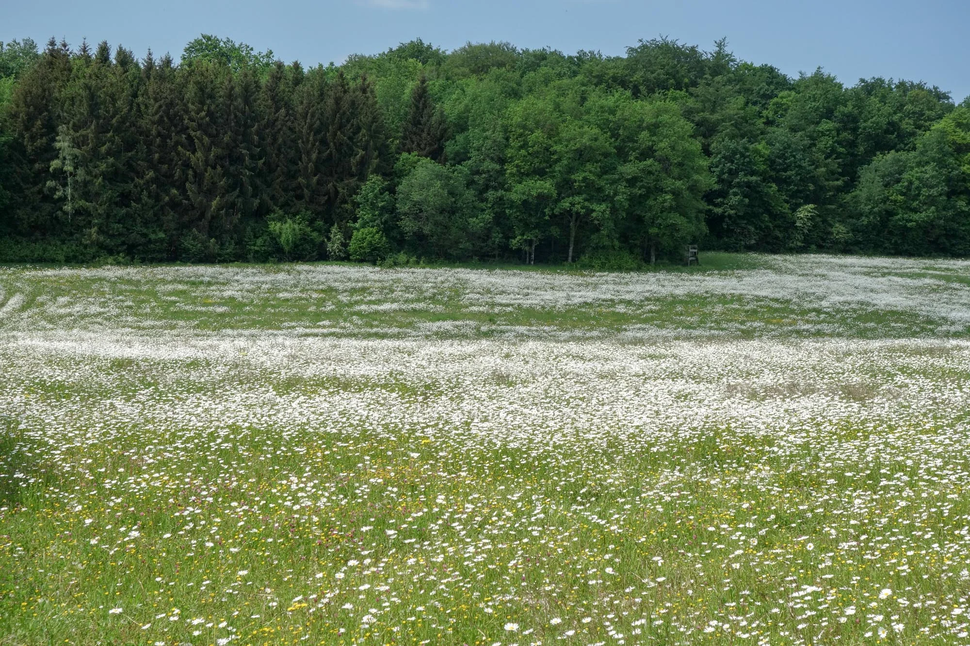 Pargny-Sous-Mureau-02793.jpg