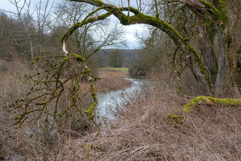 DSC_7174.jpg