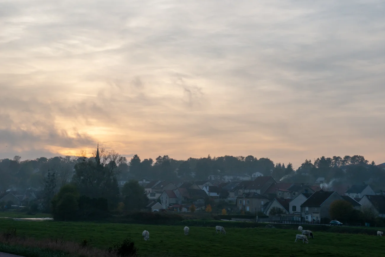 DSC_2316.jpg