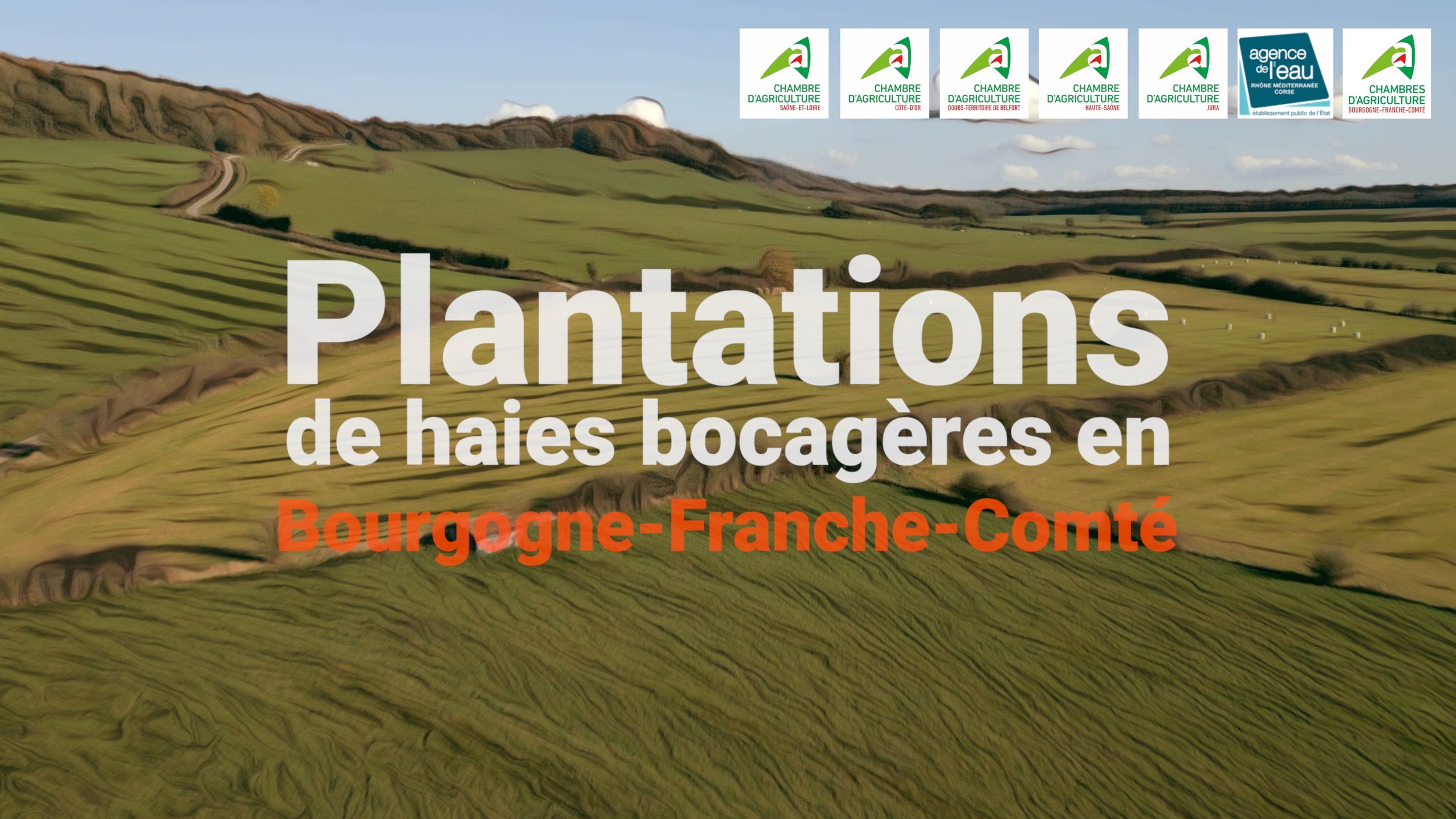 Plantations de haies bocagères en Bourgogne Franche-Comté - 4K
