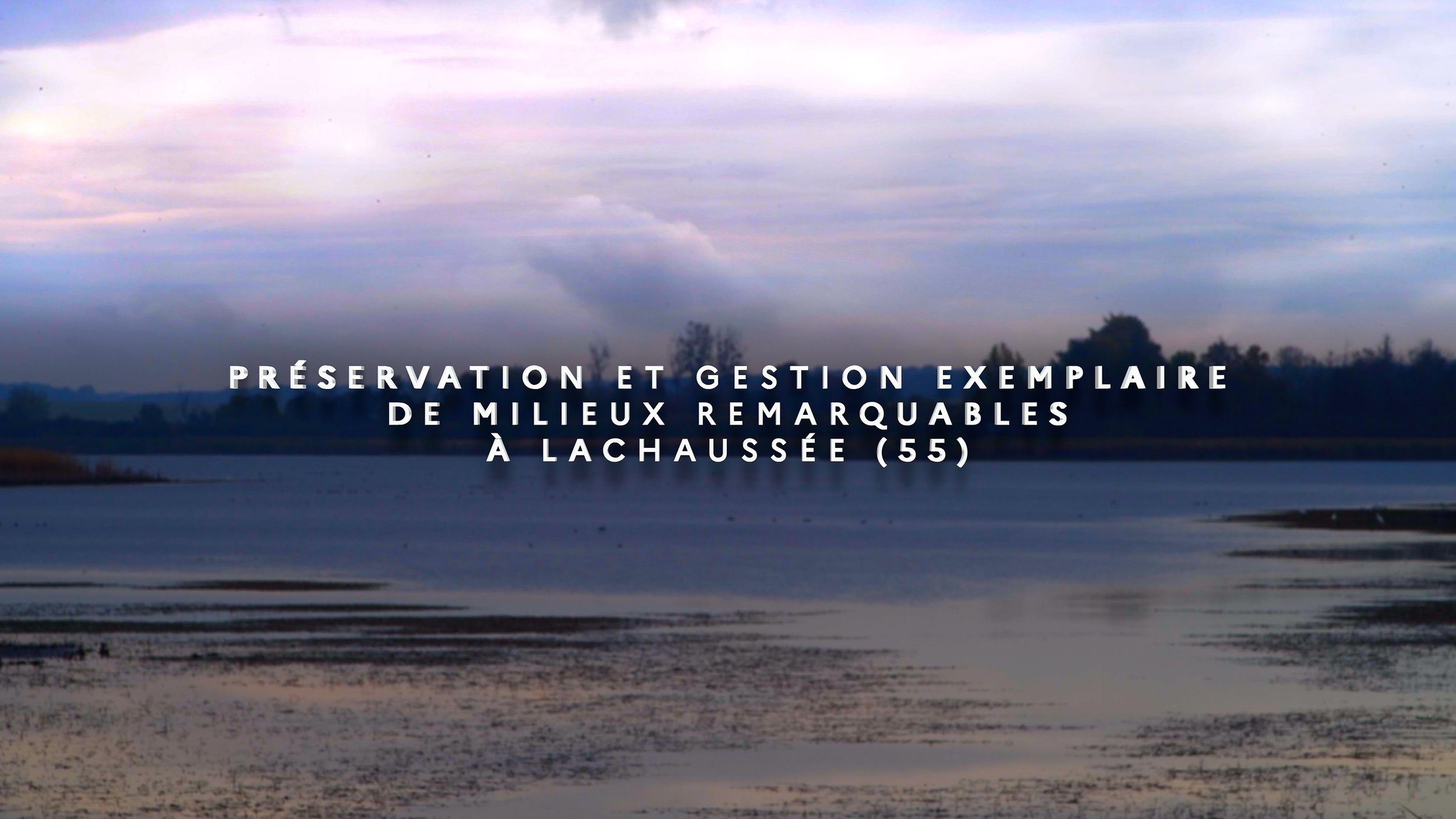 Biodiversité à Lachaussée