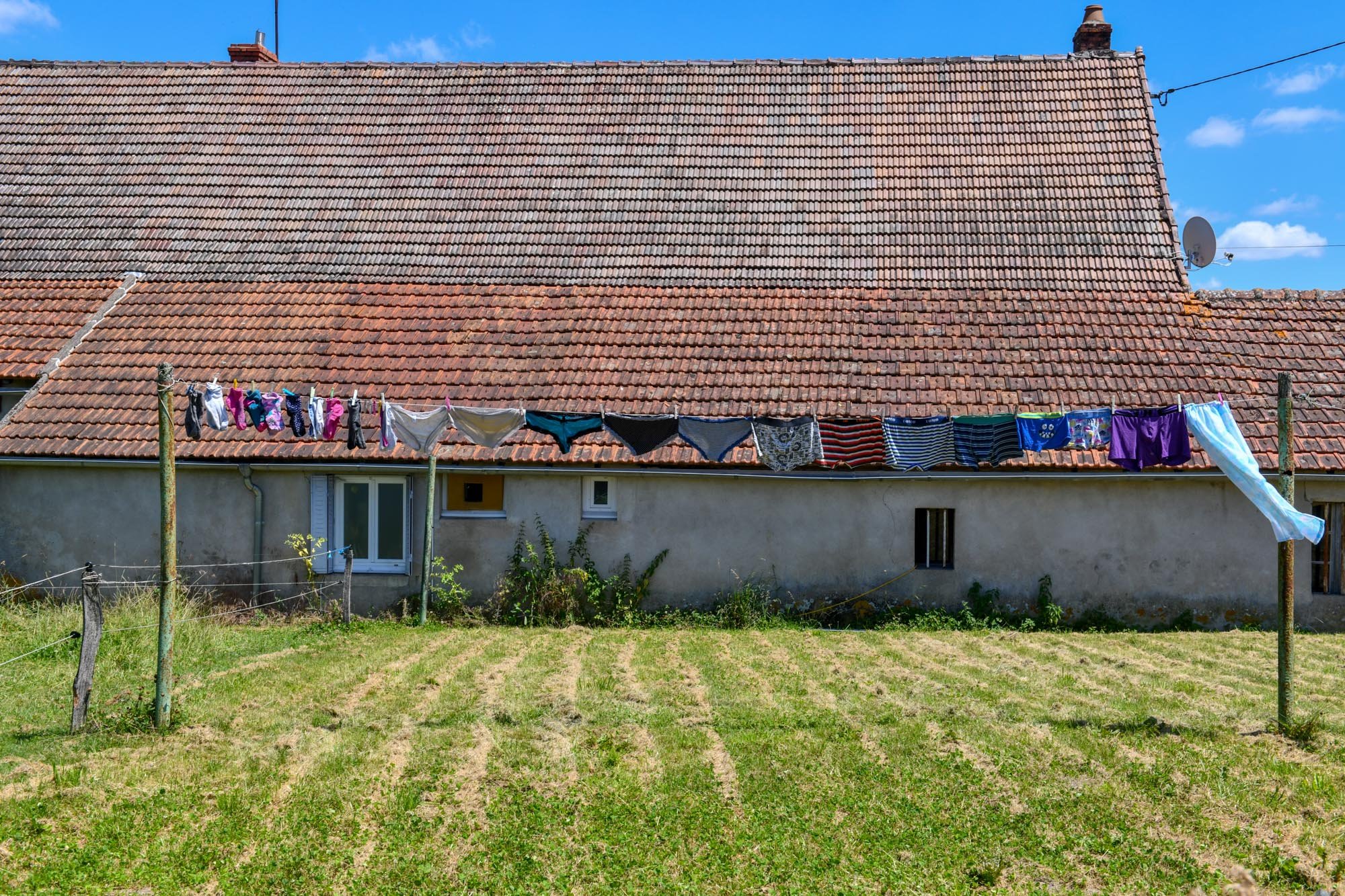 DSC_0303.jpg