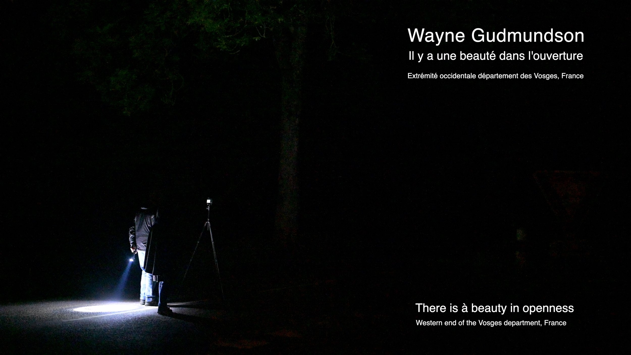 Wayne Gudmundson - Il y a une beauté dans l'ouverture