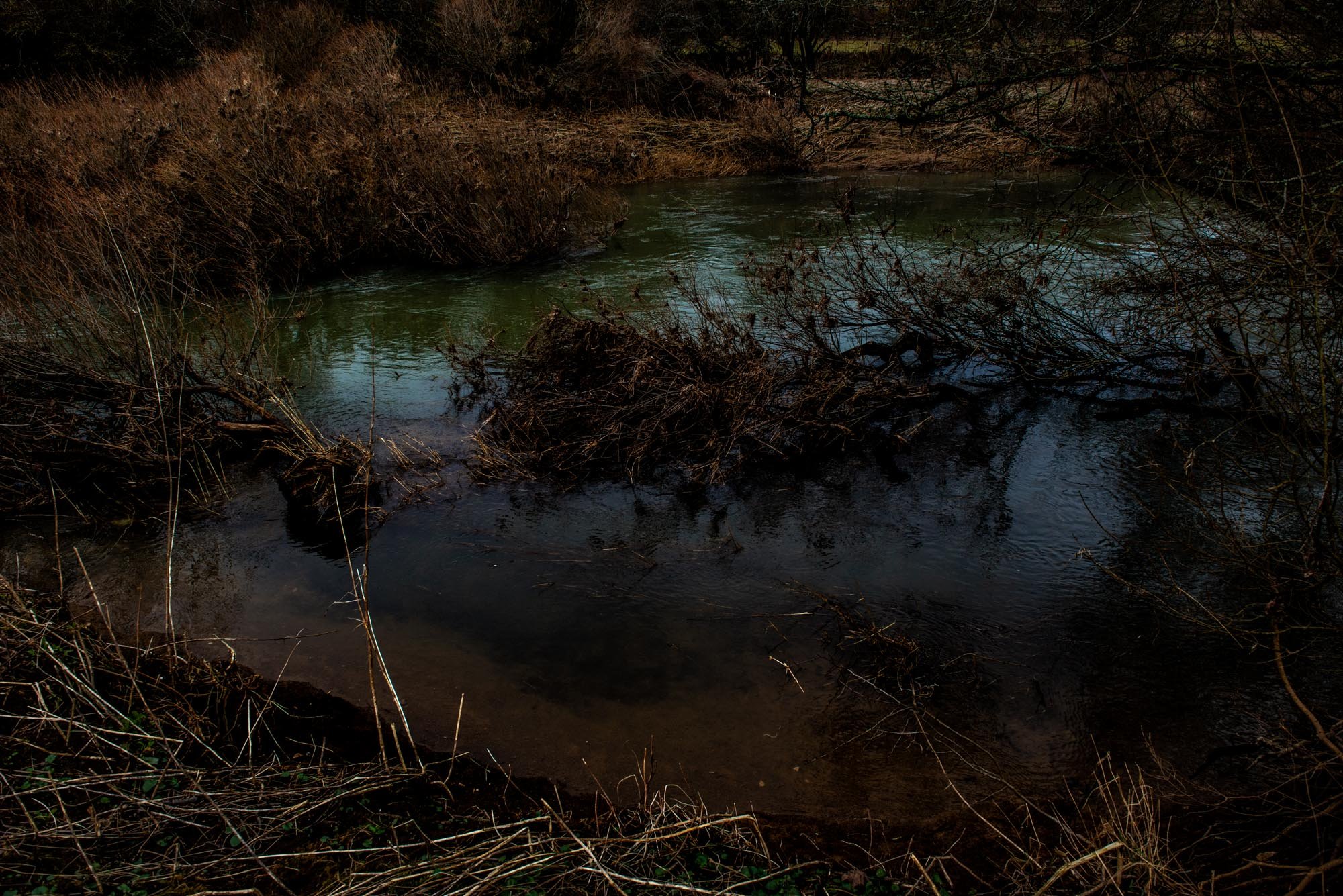 DSC_7145.jpg