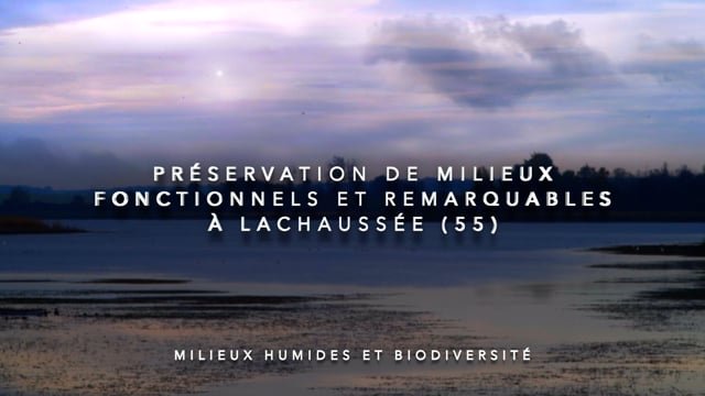 Préservation et gestion exemplaire de milieux remarquables à Lachaussée (55)