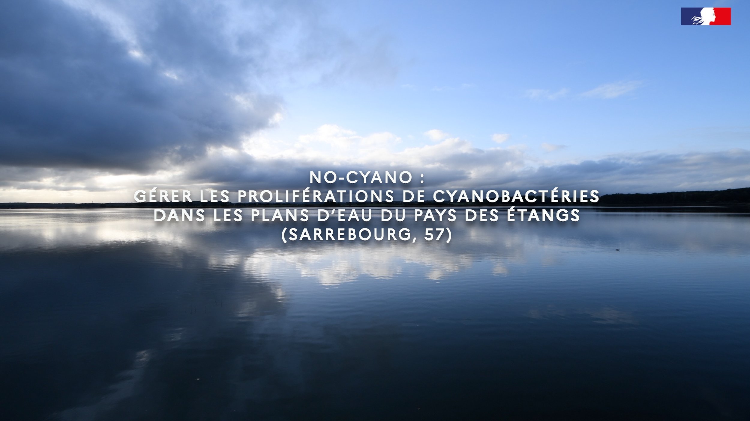NoCyano : gérer les proliférations de cyanobactéries