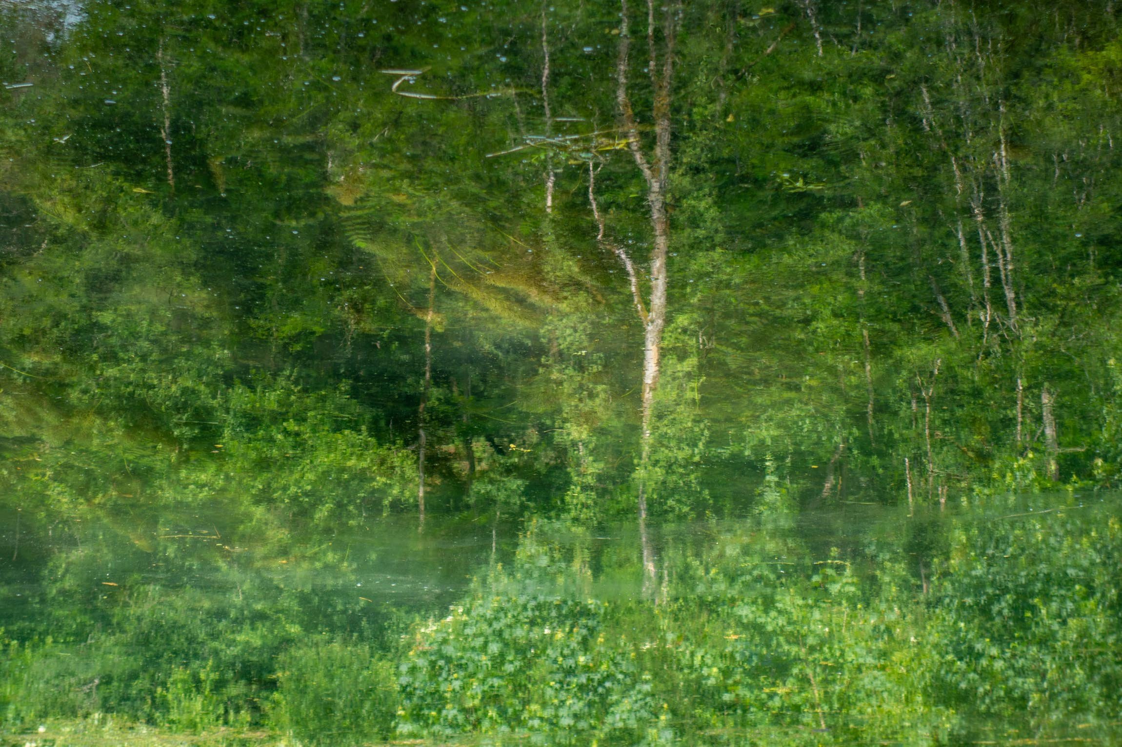 DSC08113.jpg