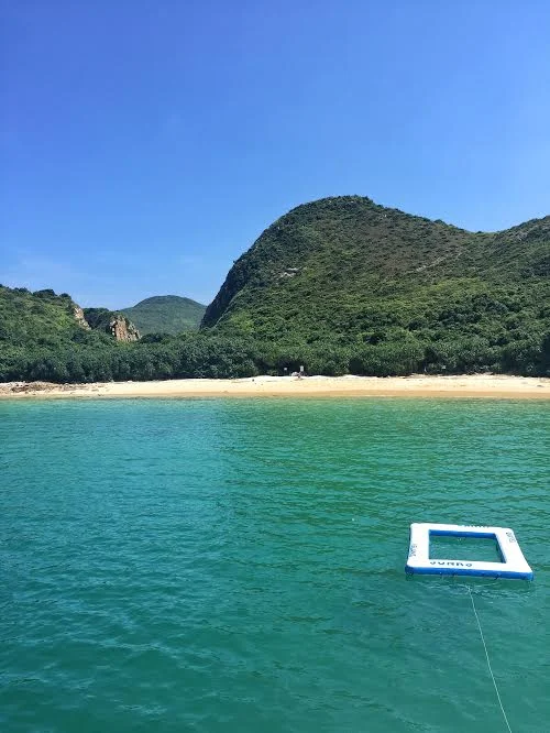 Oh hi, paradise!