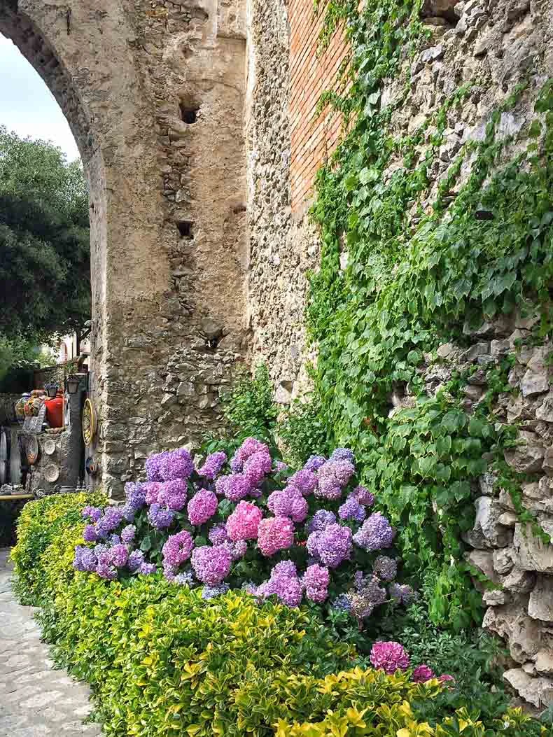 The town is also covered in hydrangeas. 