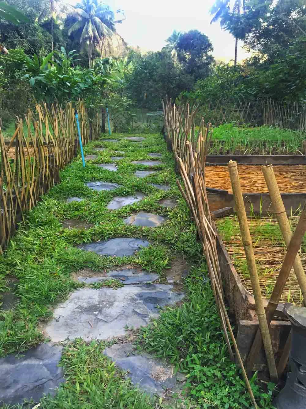 Tamarind's farm.