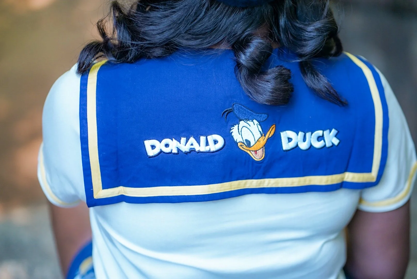Ahoy Matey! Happy 90th Birthday Donald Duck!